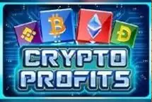 Crypto Profits